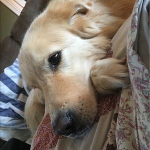 Meet your Posher, Kylee